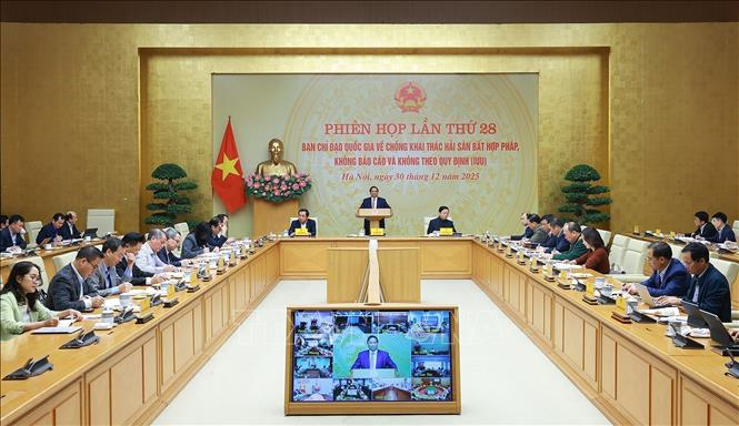 Thủ tướng Phạm Minh Chính: Chống khai thác IUU không chỉ vì gỡ thẻ vàng EC